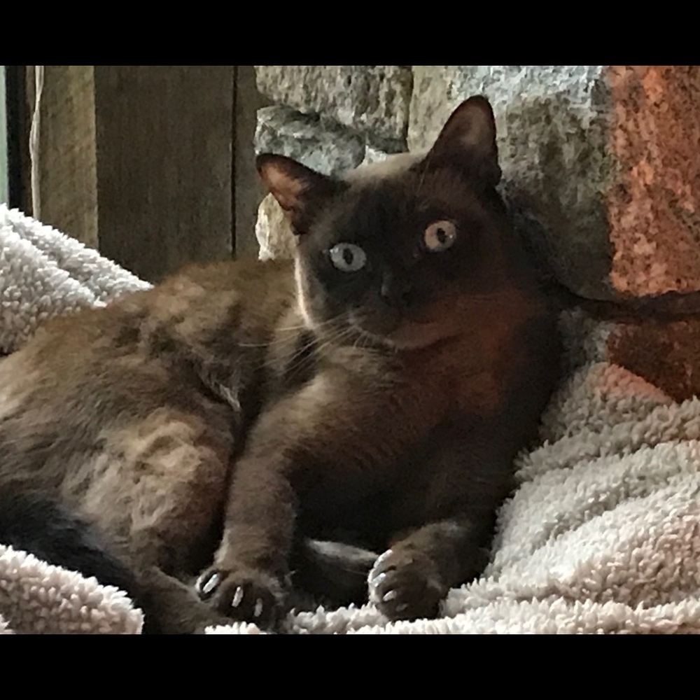 More of Mico!